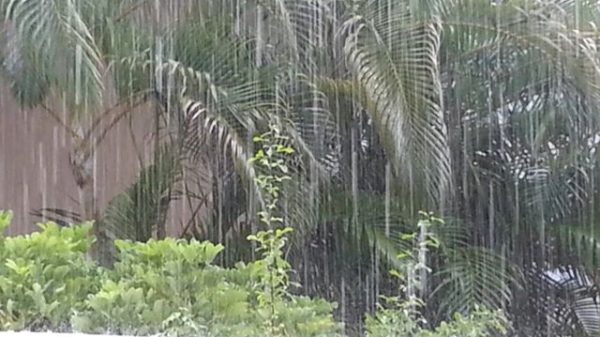 Temporada de lluvias en el Parque de la Recompensa