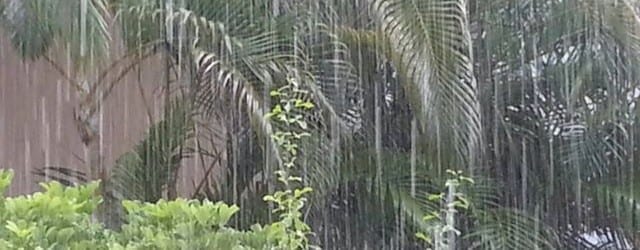 Recompensa Park regenseizoen