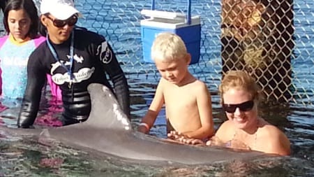 Dolphin Encounter Curacao