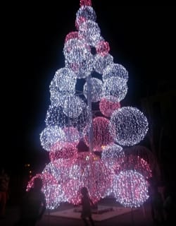 kerstboom Brionplein Curacao