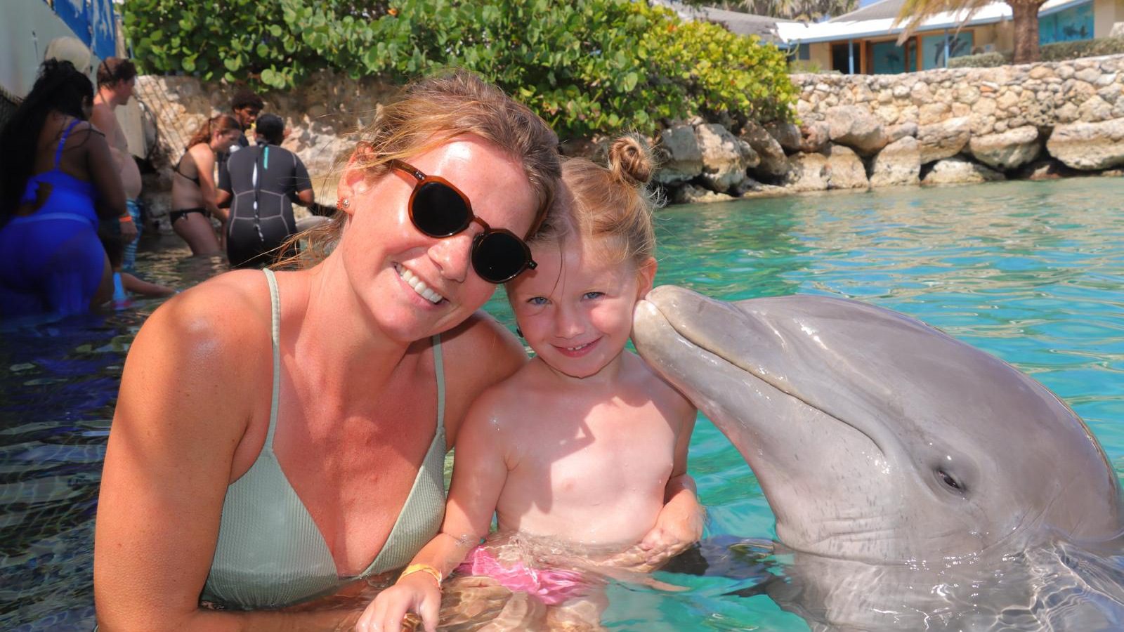 Dolphin Encounter dolphin kiss 1600x900 2