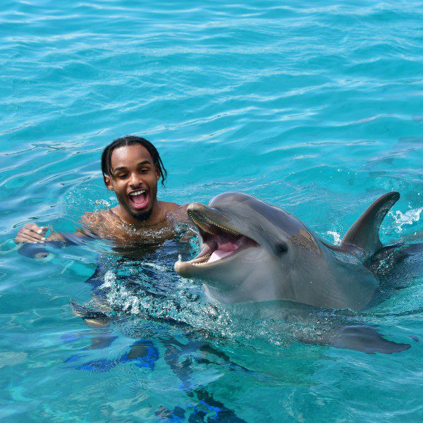 Dolphin Swim Curaçao Dolphin Academy