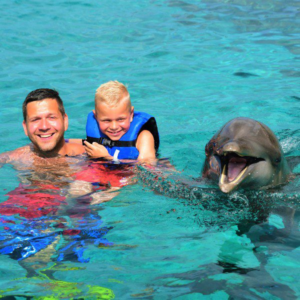 Dolphin Swim Curacao laughter