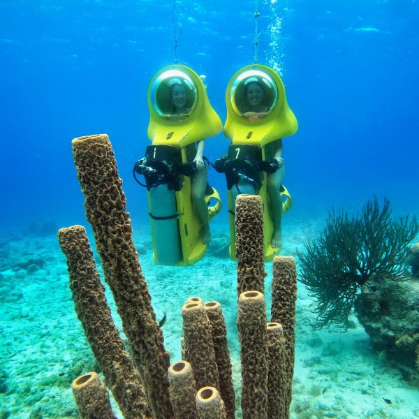 Aquafari Curacao coral