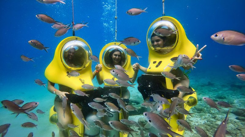 Observação de peixes no Aquafari Curaçao