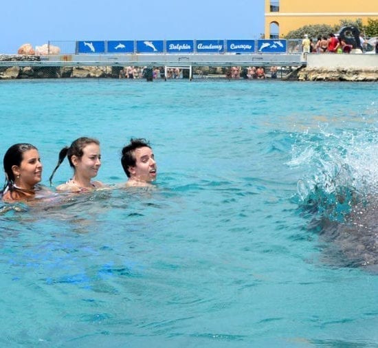 zwemmen met dolfijnen op Curacao