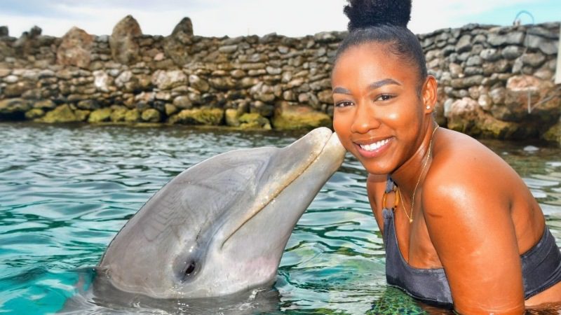 dolfijn kus dolphin encounter curacao 800x450 1