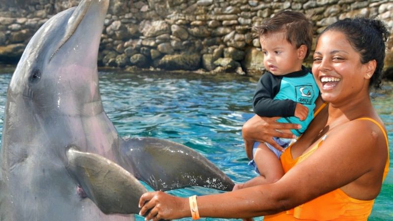 dolfijn zwangere vrouw dolphin encounter curacao 800x450 1