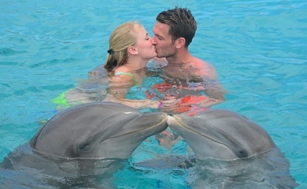 dolphin-swim-curacao-kiss