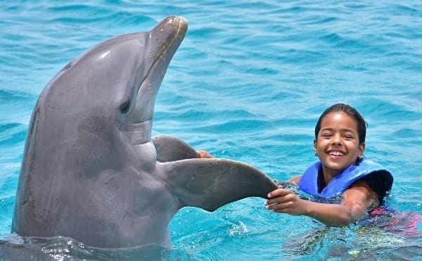 Dansen dolfijn Curacao