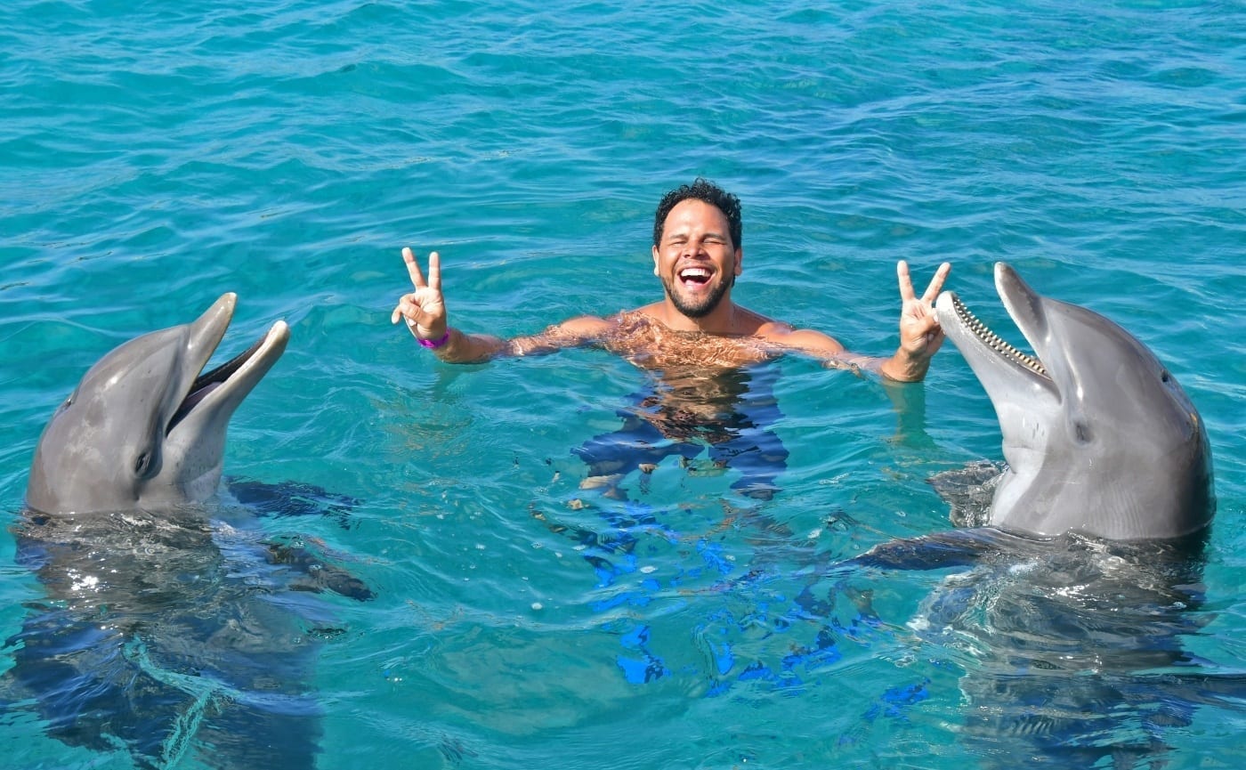 nado com golfinhos em curaçao