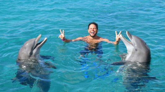 Dolphin Swim Curacao