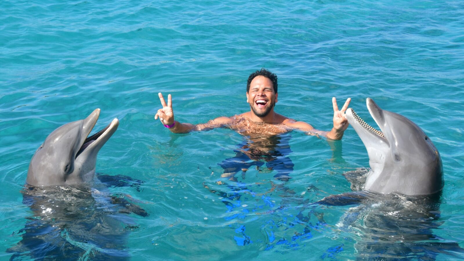 Spreekbeurt Curacao - info & feitjes 14 Dolphin Swim Curacao