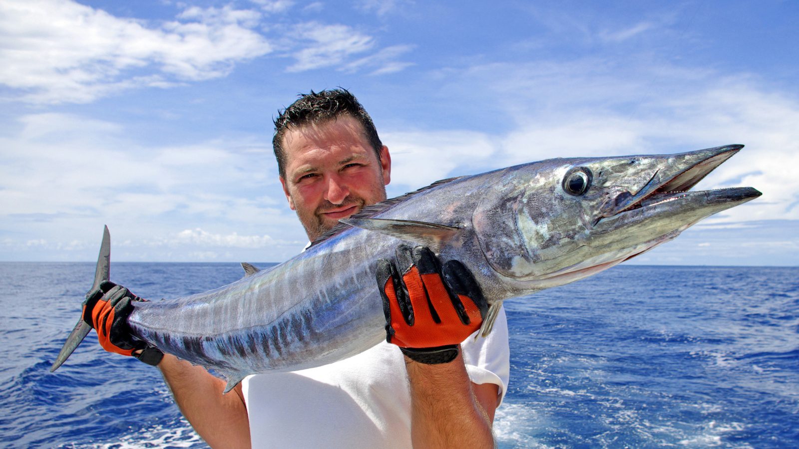 zeevissen curacao deepsea fishing