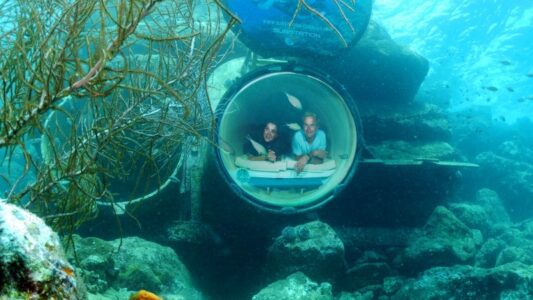 Ocean Lens Curacao Sea Aquarium Park 800x450 1