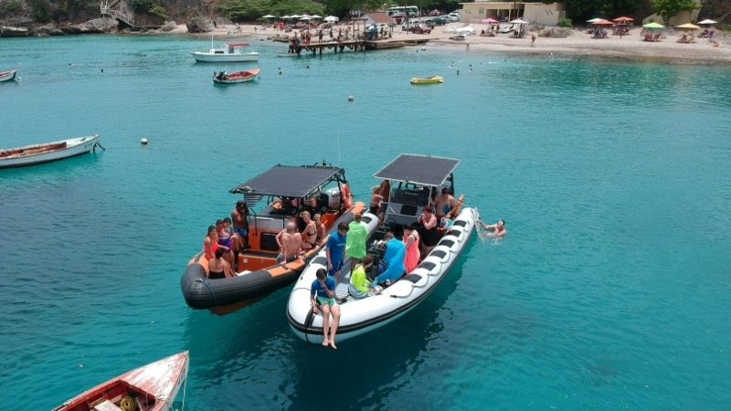 Westcoast Powerboat Piskado turtles 800x450 1