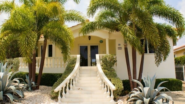 holiday-curacao-villa-kas-orana-palm-trees