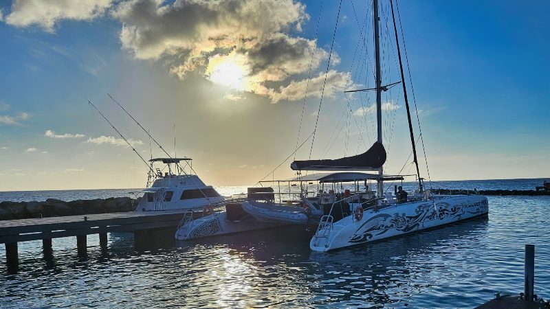 Sunset Sailing Cruise - Large Catamaran 6 bluefinn sunset cruise catamaran curacao haven mood 800x450 1