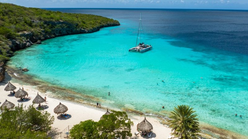 Westcoast Cruise - Catamaran 11 Westcoast catamaran BlueFinn Cas Abou 800x450 1