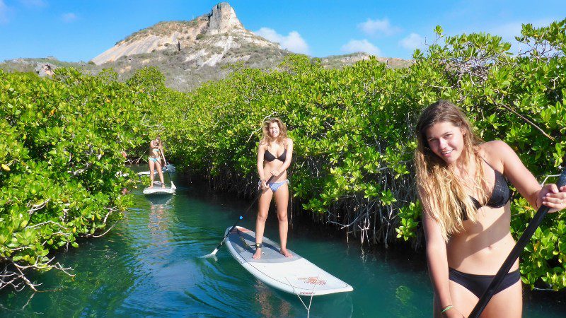 SUP Curacao mangrove