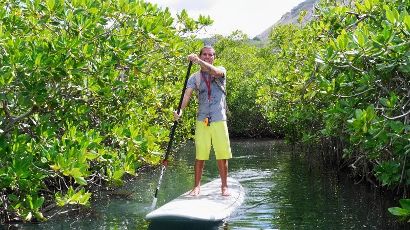 Suppen 5 sup mangrove curacao 800x450 1