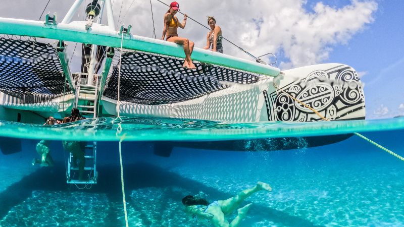 Westcoast Cruise - Catamaran 6 westcoast trip catamaran zwemmen zee 800x450 1