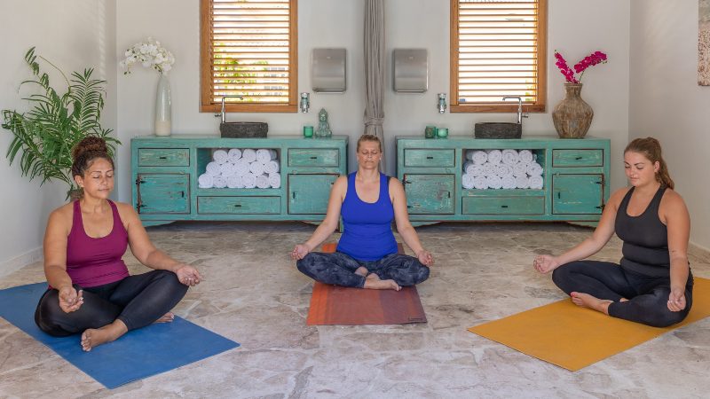 Dolphin SuitesCuracao wellness retreat 800x450 1