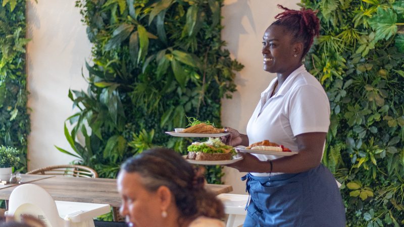 Reefs Co Dolphin Suites Curacao bediening 800x450 1