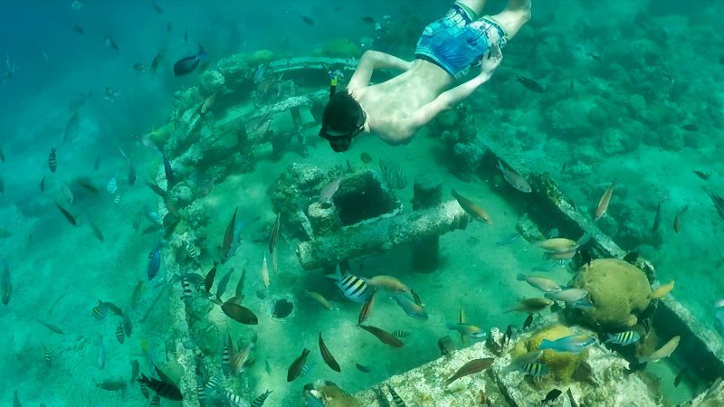 catamaran snorkel tour bluefinn 800x450 1