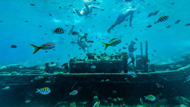 Tugboat snorkel trip Curacao catamaran