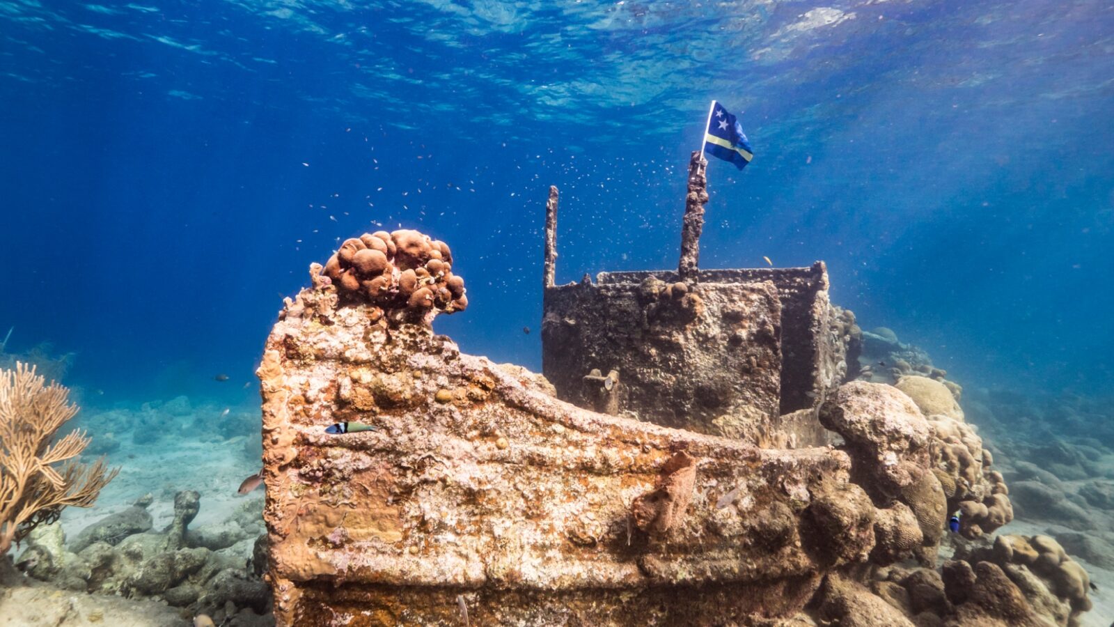 tugboat curacao snorkeltour