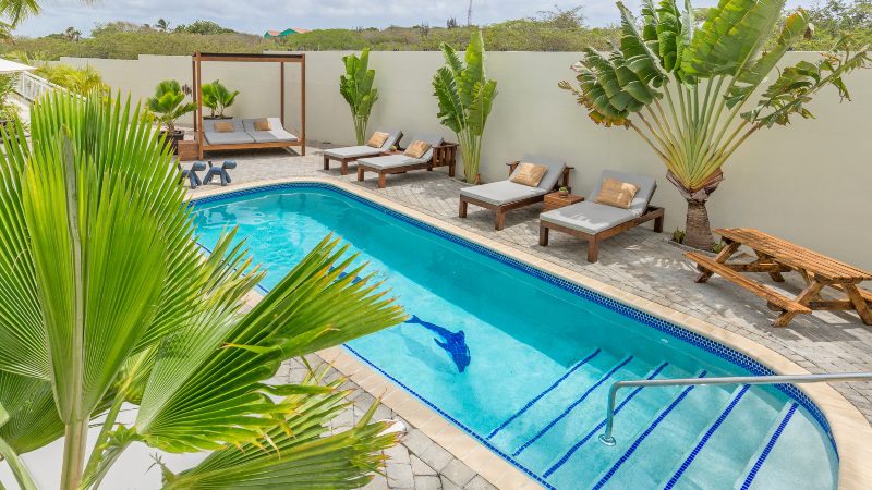 dolphin suites curacao zwembad achterkant 800x450 1