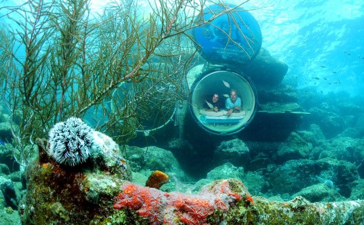 ocean lens curacao sea aquarium park