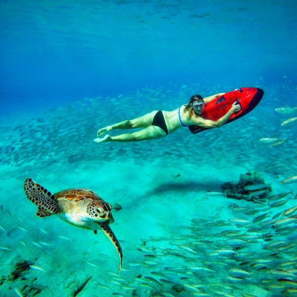 Seabob Curaçao tartaruga tartarugas
