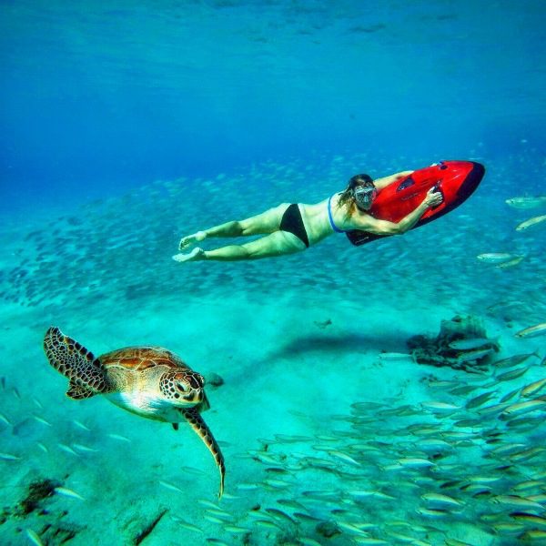 Seabob Curacao schildpadden turtles