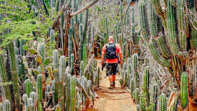 private tour curacao christoffel park 800x450 1