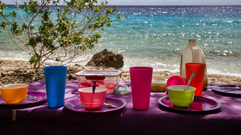 private tour picknick lunch curacao 800x450 1