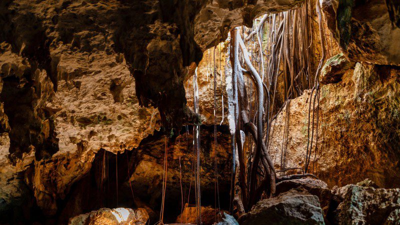 privetour curacao grot surprise me 800x450 1