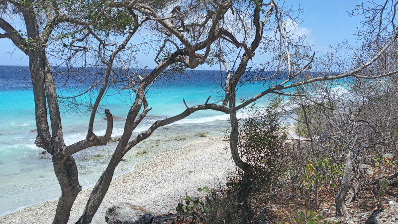 strand curacao privetour terreinwagen 800x450 1