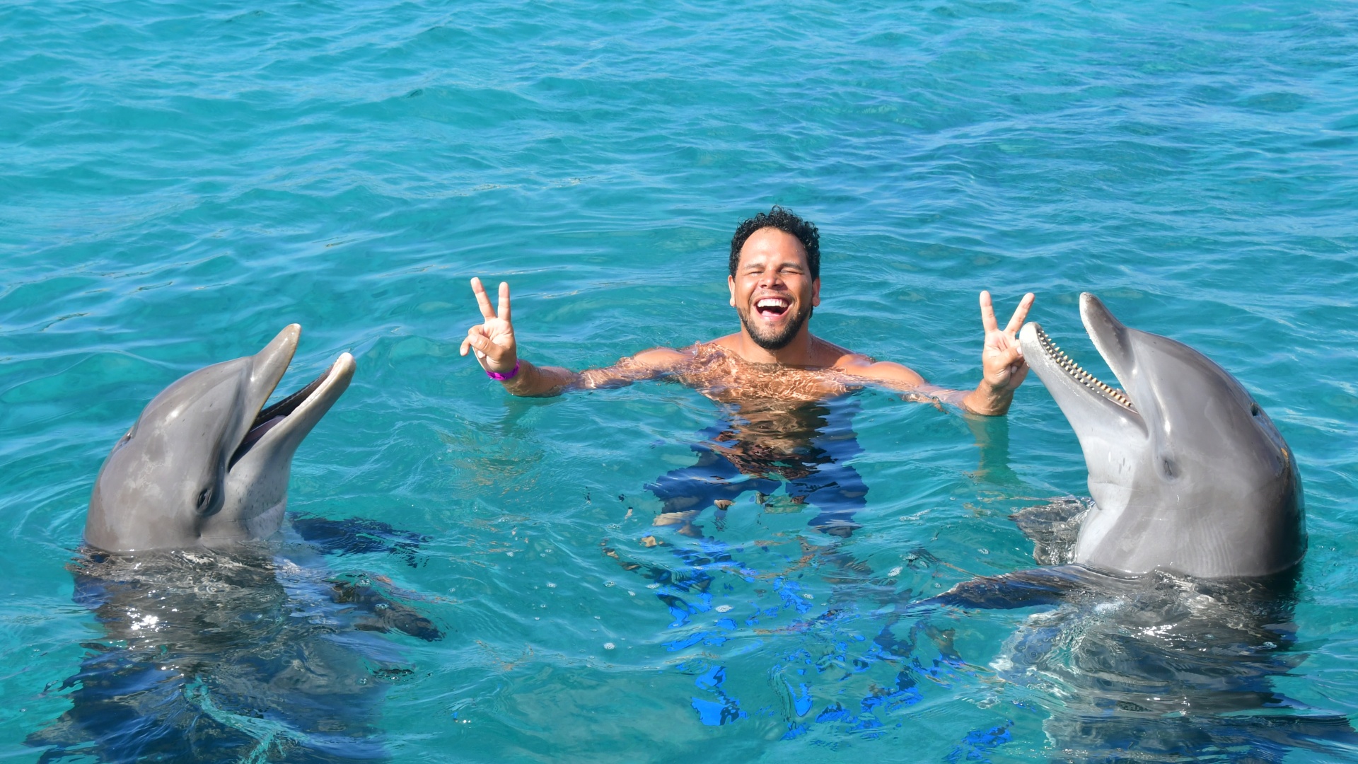 Dolphin Swim Curacao - lachen