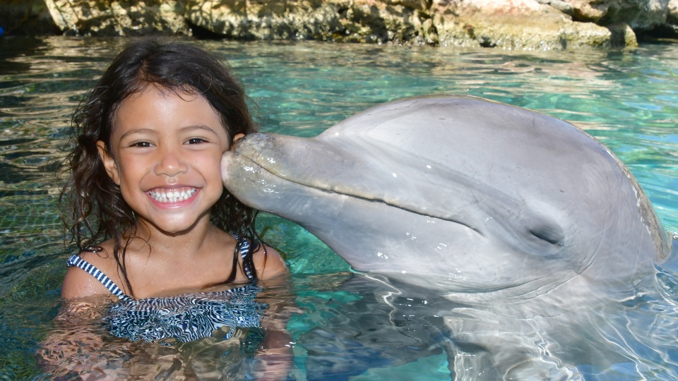 Dolphin Encounter Curacao - kiss