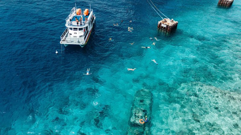 Half day snorkel lunch tugboat 800x450 1