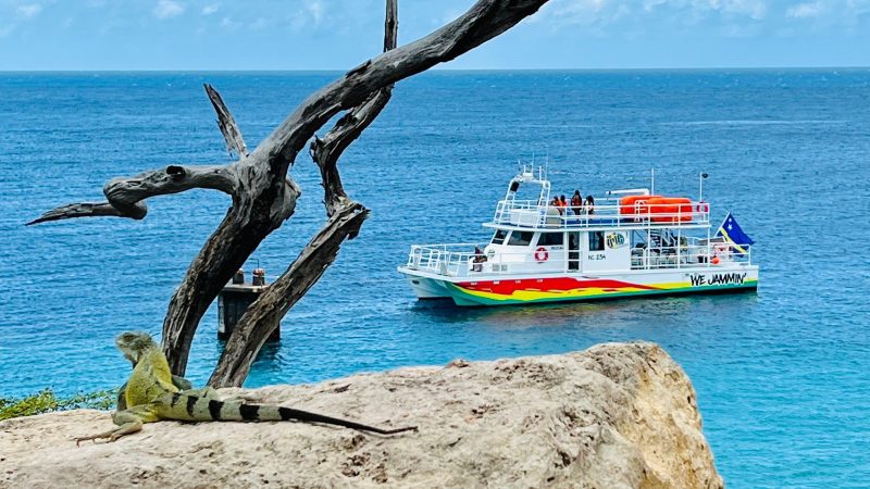 snorkel tour curacao halve dag 800x450 1