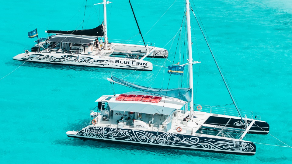 BlueFinn catamarans