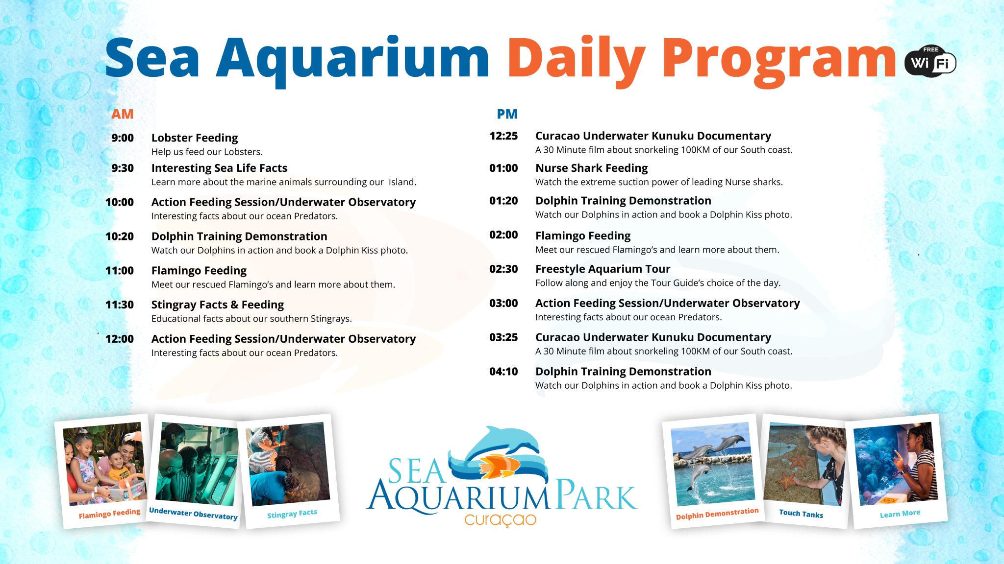 Sea Aquarium Curacao day program