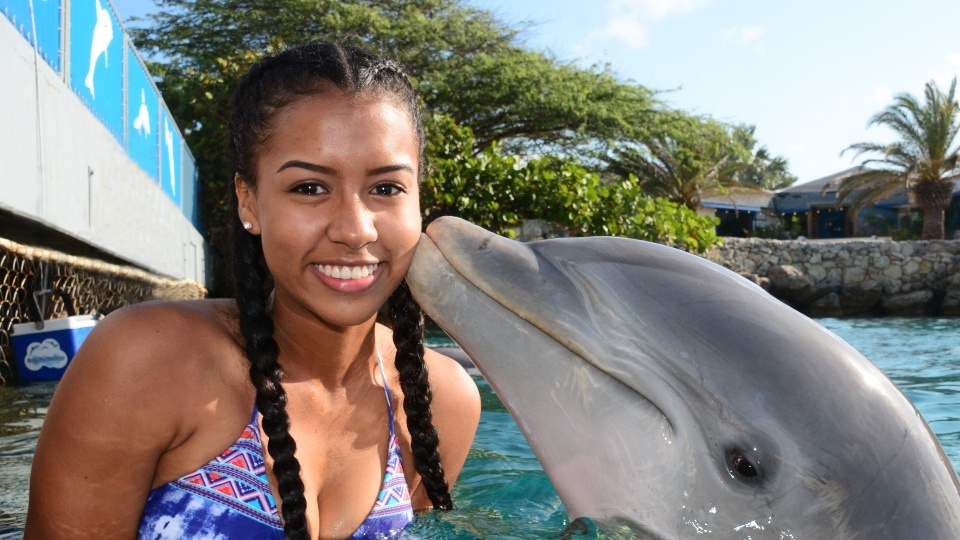 Dagprogramma Sea Aquarium Park 13 dolphin kiss curacao
