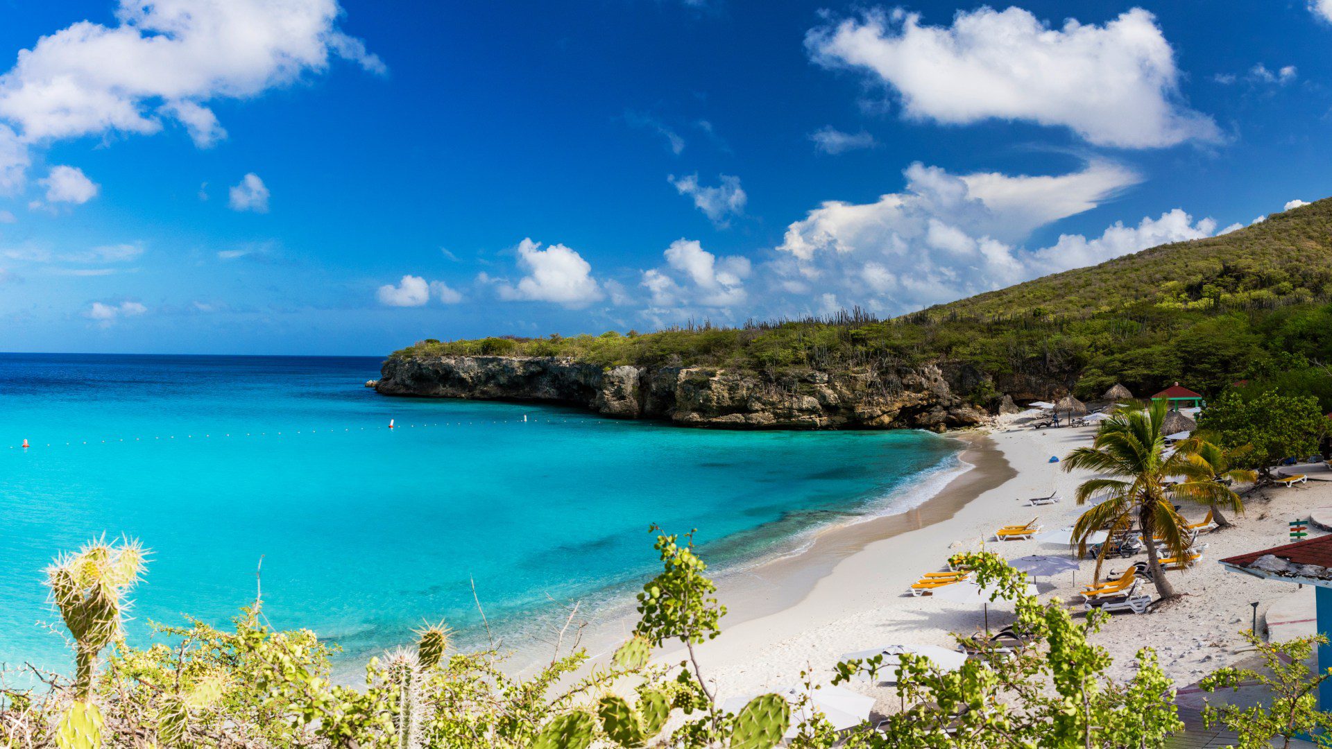 Grote Knip strand Curacao