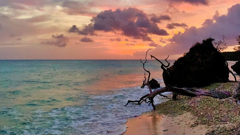 Private Beach & Picnic 14 prive strand sunset zonsondergang 800x450 1