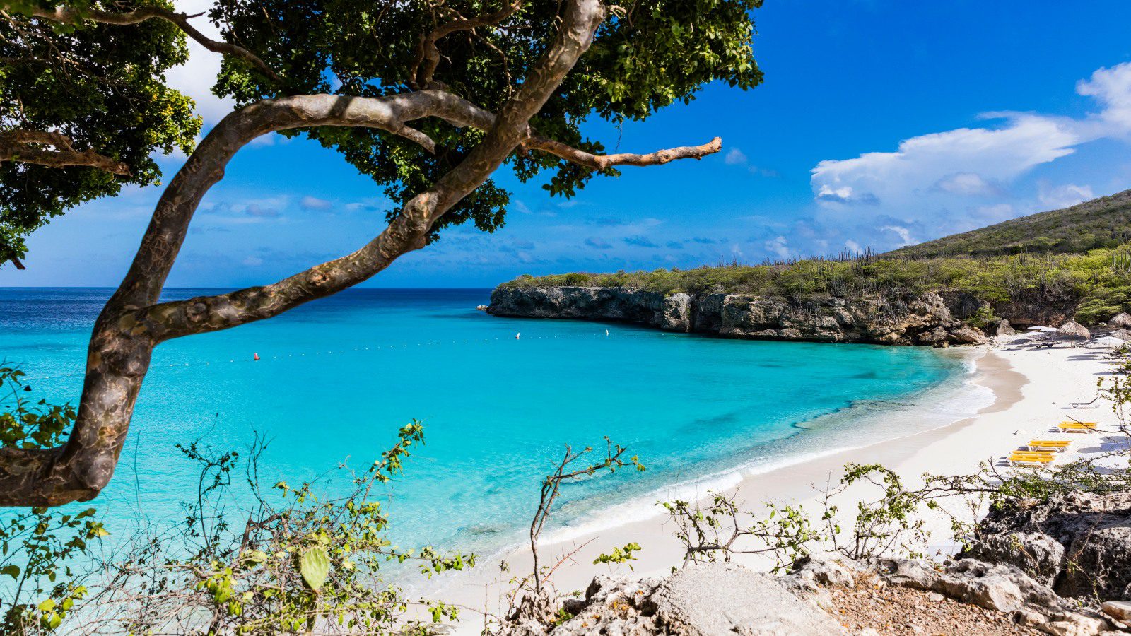 TUI Vroegboekkorting Curacao 2023
