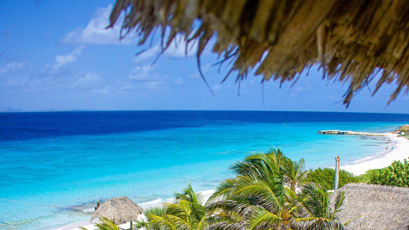 Klein Curacao | Mermaid 20 klein curacao mermaid ocean view 800x450 1